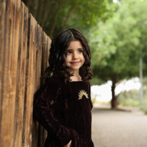 Alternative view of Sun - Brown